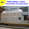 Steam Boiler (Coal, biomass pellet, wood, sawdust, rice hull) (DZL2)